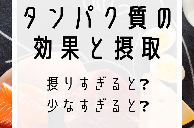 タンパク質の 効果と摂取
