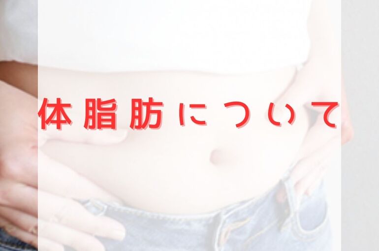 体脂肪について