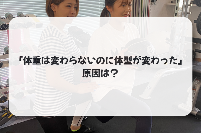 体型